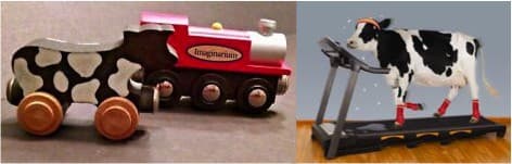 Dairy is the farm sector’s growth engine: Dilip Rath