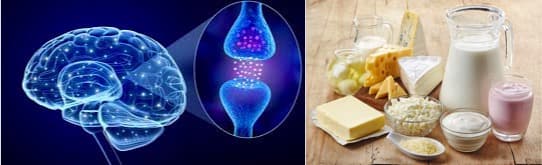 Dairy intake may increase risk of Parkinson’s disease in European men