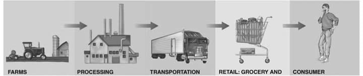 Food safety from feed to table in true sense