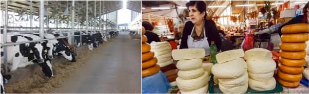 New Regulations enacted in Georgia to write “Made from Raw milk”