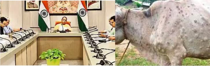 Could LSD in UP lead to milk shortage in north during festival time?