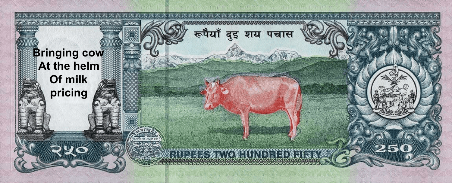 Replacing SNF with Protein will make milk pricing in India inclusive and milk more safe