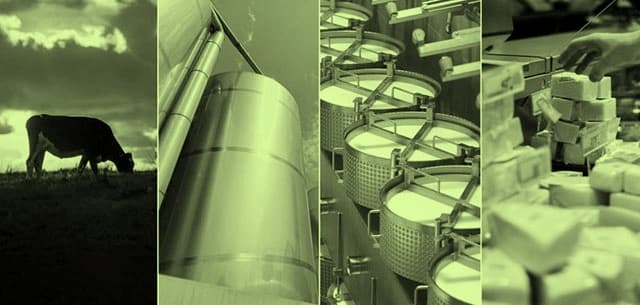 Dairy Demand will be in the driver’s seat in 2021: Rabo Bank