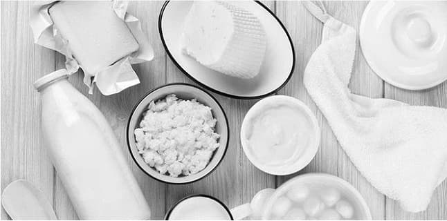 Russian imports of dairy products lowered by 10%