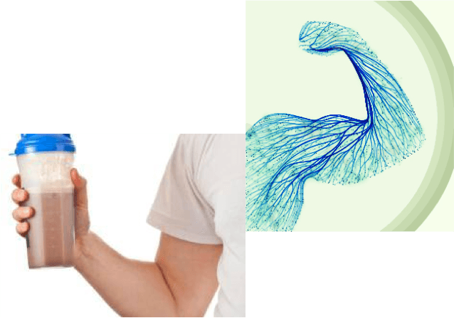 Whey protein: The building block of our immunity system