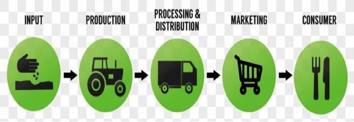 Bridging the gaps: Supply Chain Leaders of India