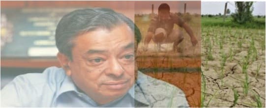 Relevance of Kurien’s Amul Model for contract farming