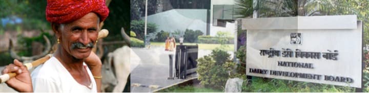 NDDB to launch National Dairy Plan-2 soon