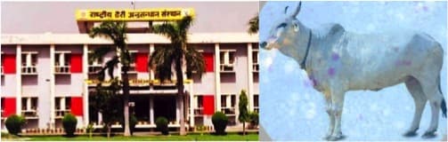 NDRI to set benchmark for milk cells across India