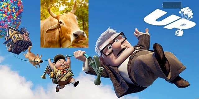 The only way is up! Budget 2021..A dairy blog by kuldeep Sharma