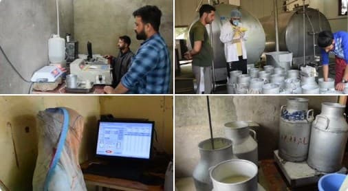 UMEED scheme in Pulwama igniting dairy entrepreneurship amongst the local youth