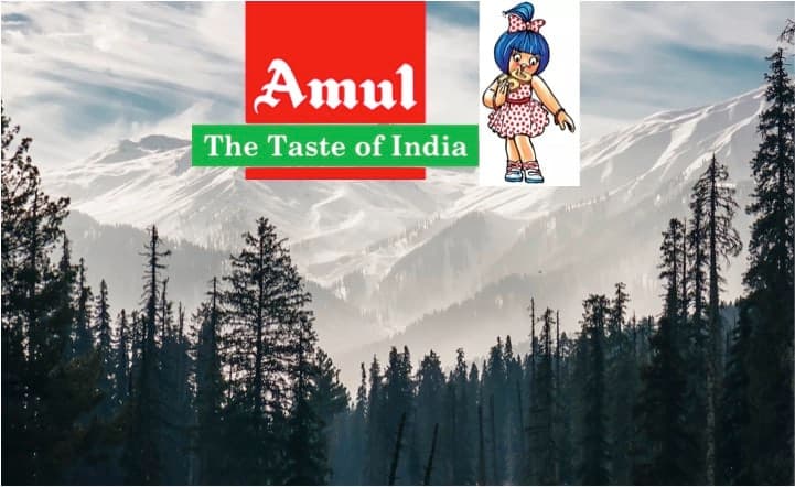 Amul launches pouch milk and fresh dairy products in Sri Nagar