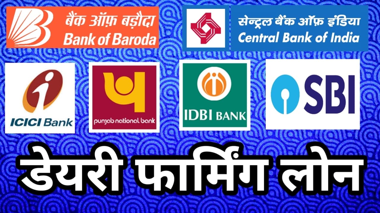 Nationalised bank offers loans for supporting dairy business