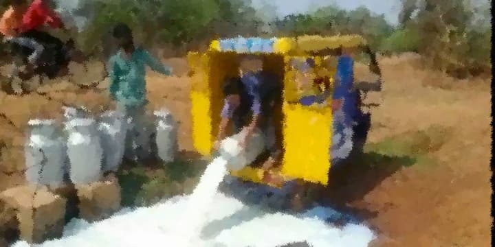 Dairy Farmers begun throwing away their milk in Chattisgarh