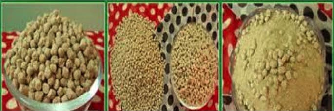 Cattle feed prices may halt after Govt prohibits DORB exports