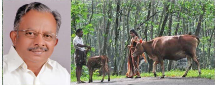 Kerala achieves self-sufficiency in milk production