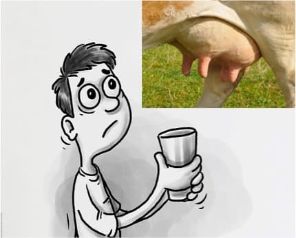 Milk prices moving up across India as a post-covid effect