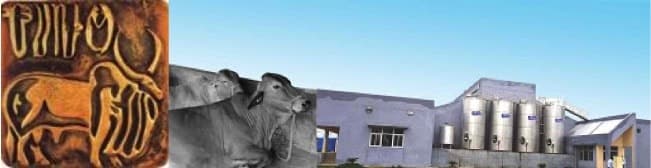 NDDB supporting dairy development in east and north eastern states