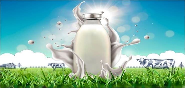 Why Is Single Origin Milk A Hit With The Masses? Find Out