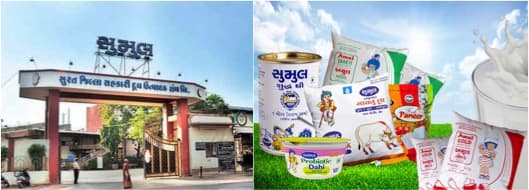 From deficit to surplus India’s spectacular milk production journey
