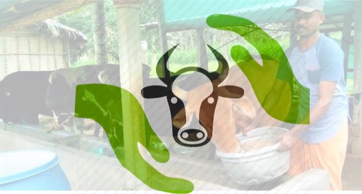 Dairy farmers demand insurance cover for all milch animals in Tamil Nadu