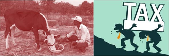 Centre may avoid sensitive sector like Dairy in FTA with UK and Australia