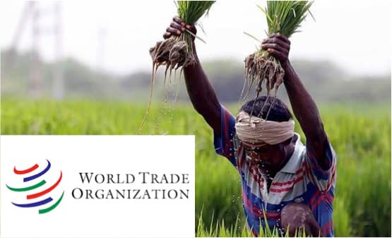 WTO scans India’s agriculture export subsidies policy