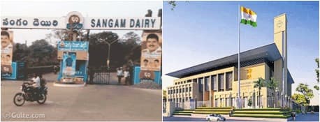 AP High Court suspends GO over handling of Sangam Dairy case