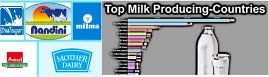 5 dairy brands that made India one of the top milk producer globally