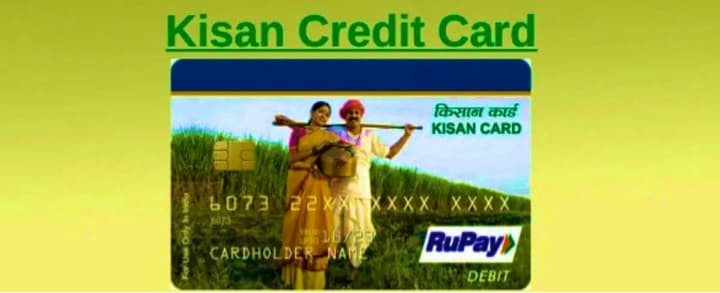 DAIRY NEWS 1 lakh farmers in Haryana to get Pashu Kisan Credit Card by the month end