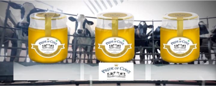 Pride of Cow Single Origin ghee launched at Rs 1500 per liter
