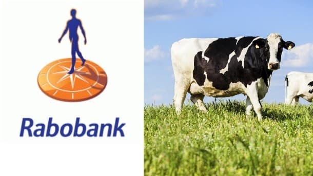 Dairy sector is Waiting for the dust to settle – Rabo Bank Q2 report