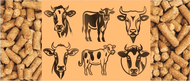 Global Dairy cattle feed  production reduced by 2.3%  in 2023