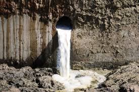 Dairy farmers in Udaipur village near Guwahati are in bad shape due to Corona