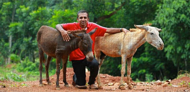 Donkey milk resembles human milk the most and available at Rs 7000 per liter