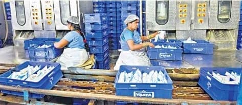 Vijaya dairy is regaining its past glory in Telangana