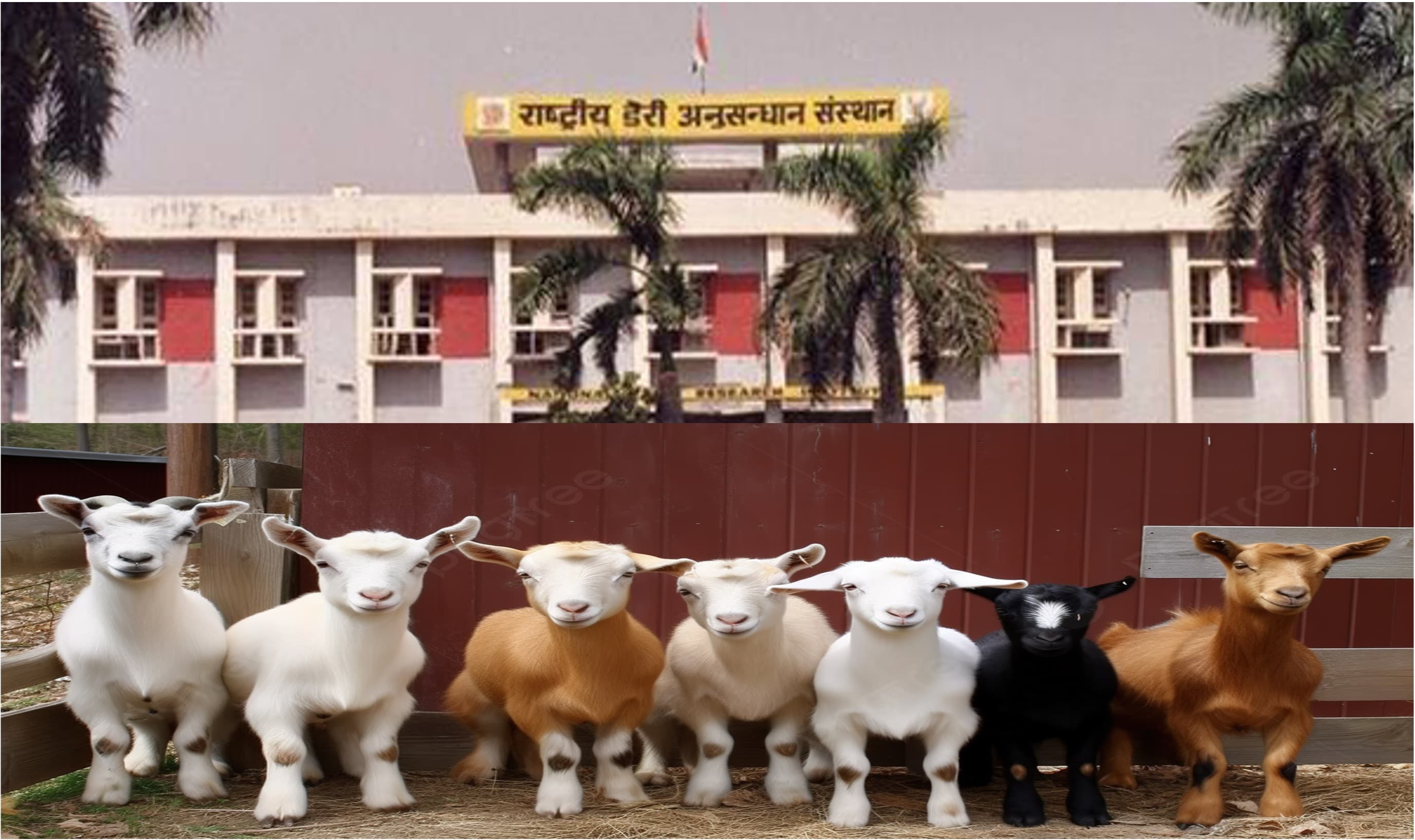 Non-bovine milk could be the future for better nutrition: Experts