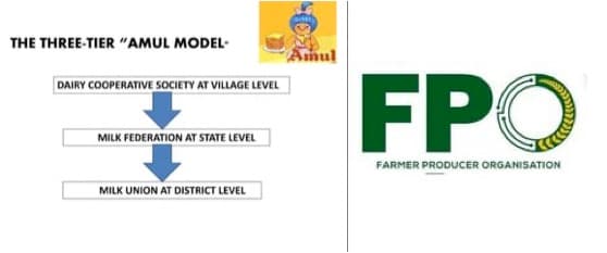 Draft policy proposes 3-tier Amul model for FPOs