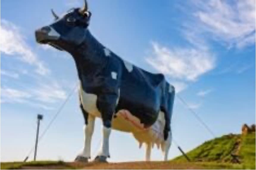 The world’s largest  Statue of Holstein Friesian Cow