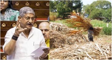 India has shortage of animal fodder: Minister Dairying