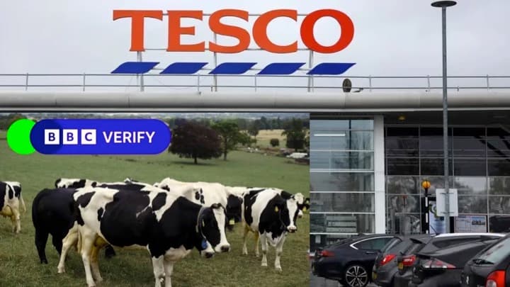 How Misinformation on Cow Feed Led to Milk Waste