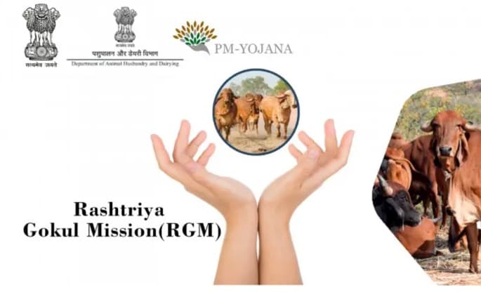Boosting India’s Dairy Sector: Rashtriya Gokul Mission