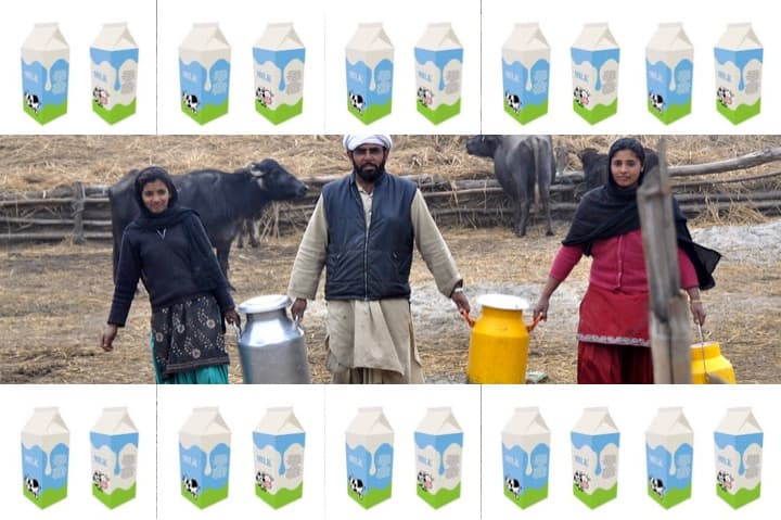 Which countries pay the least and most for milk?