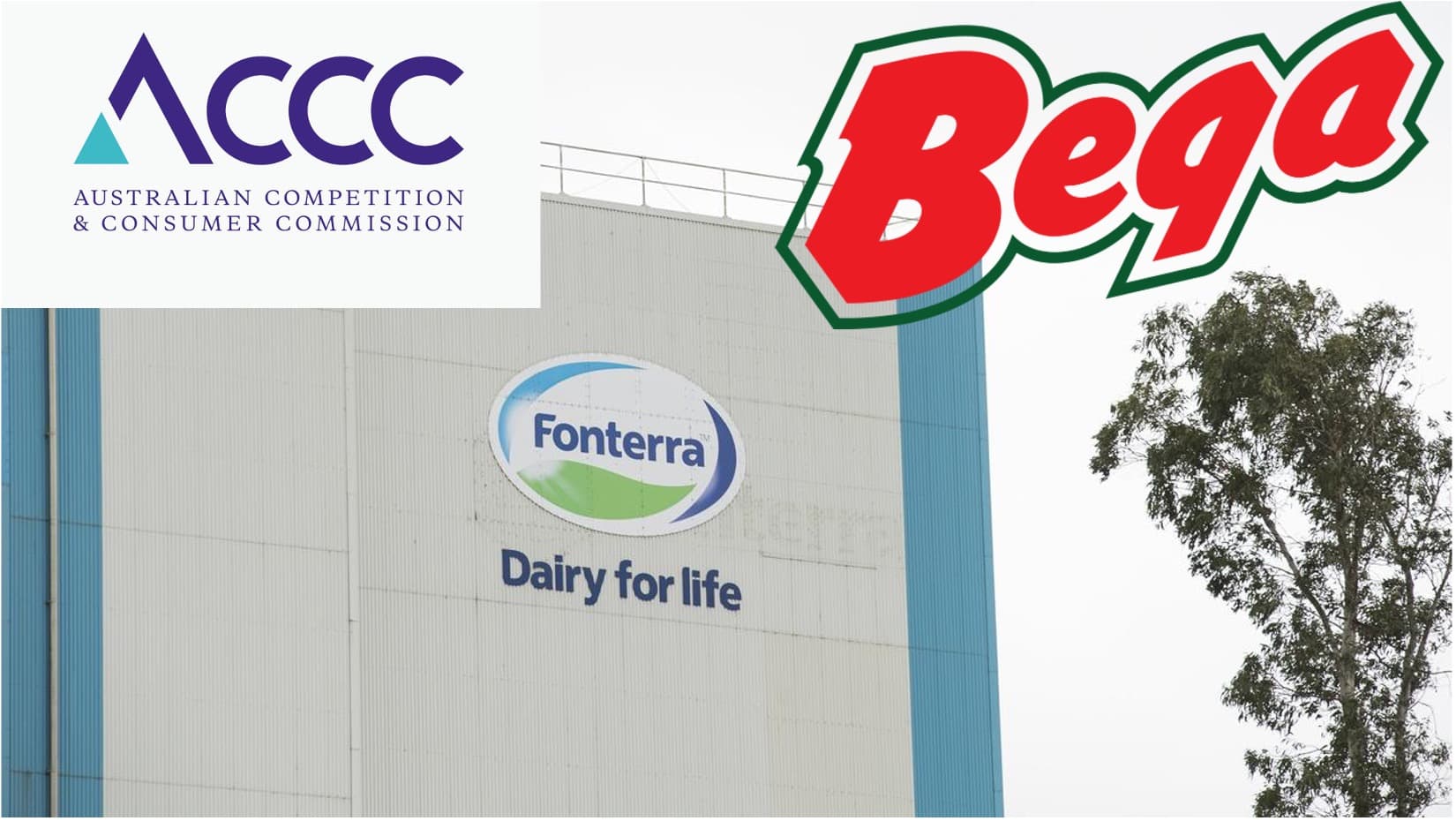 ACCC Probes Bega’s Bid for Fonterra Oceania