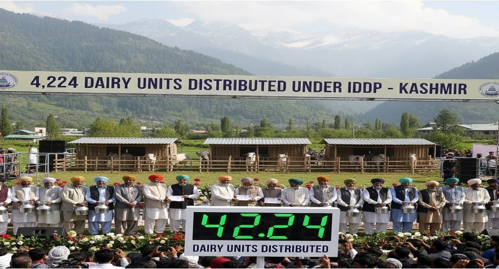 4,224 Dairy Units Distributed Under IDDP in Kashmir