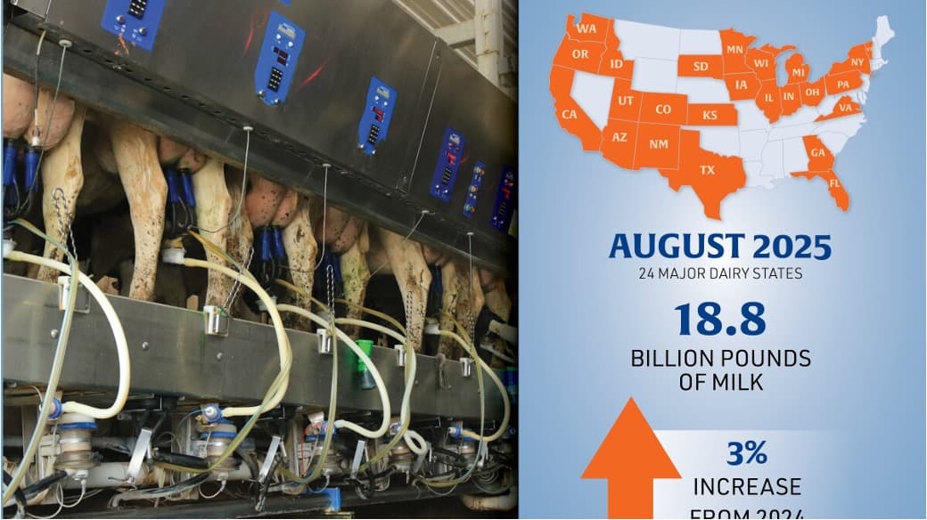 America’s Dairy Boom: A Billion-Dollar Transformation