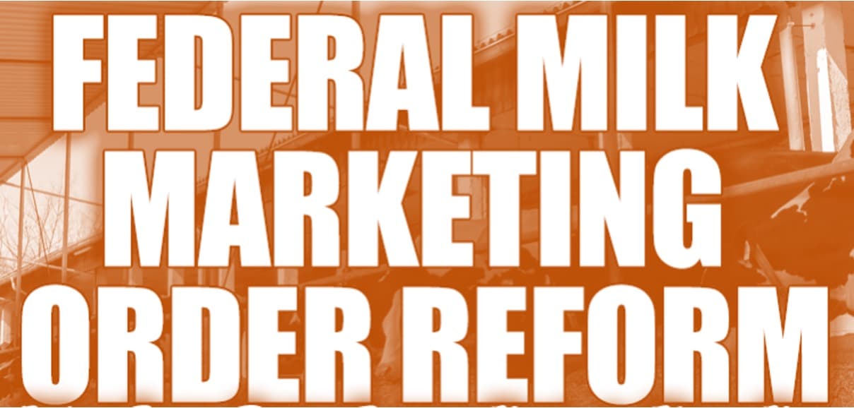 U.S. dairy braces for market shifts from new FMMO rules