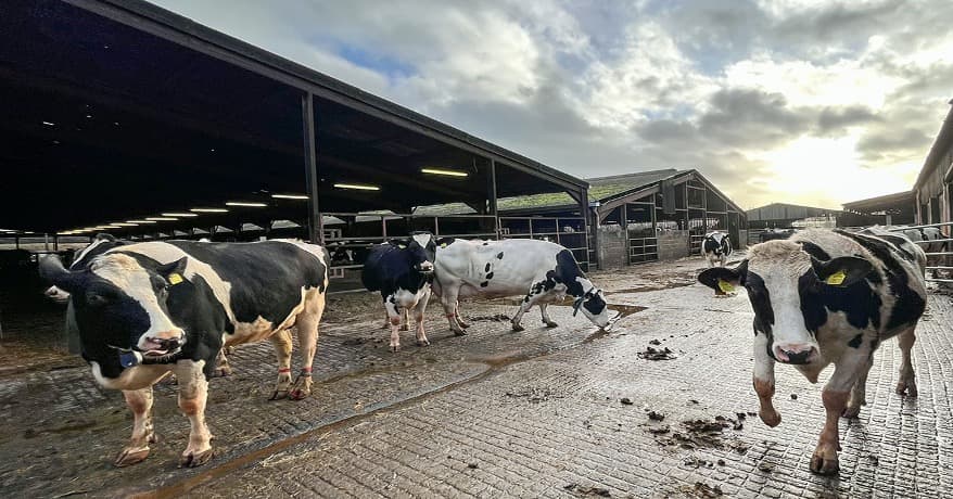 UK Milk Surge Triggers Sharp Commodity Price Fall