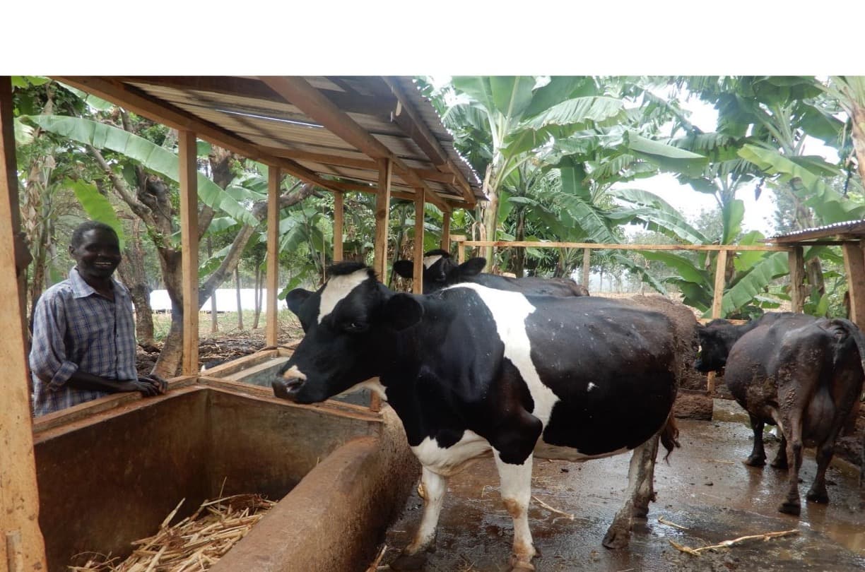 Kenya Bans Milk-Powder Imports to Shield Dairy Farmers