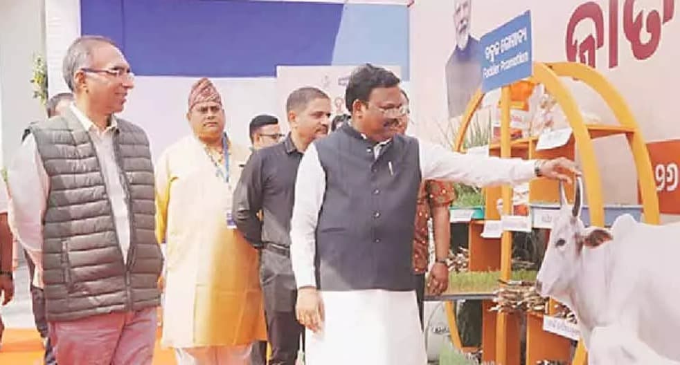 Odisha gives Rs 200 cr subsidy to 4.5 lakh dairy farmers